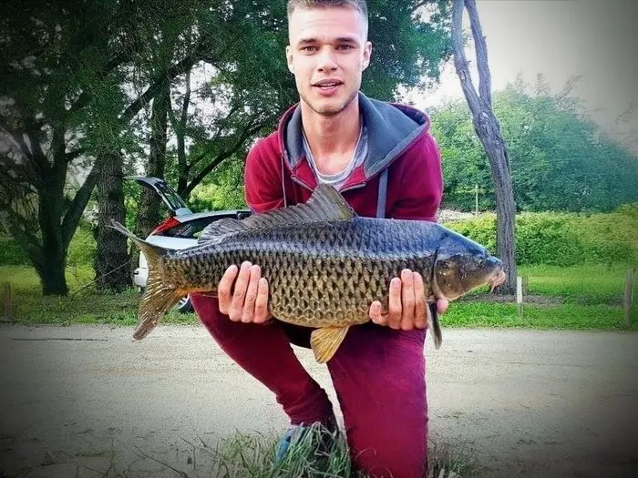 Carpe commune de 6 kg à Chissay-en-Touraine, le 11/06/2018 à 18:20