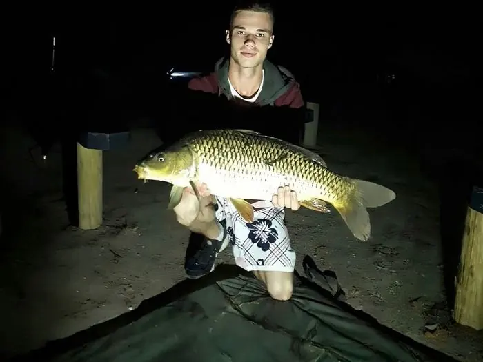 Carpe commune de 8 kg à Chissay-en-Touraine, le 07/08/2018 à 22:10