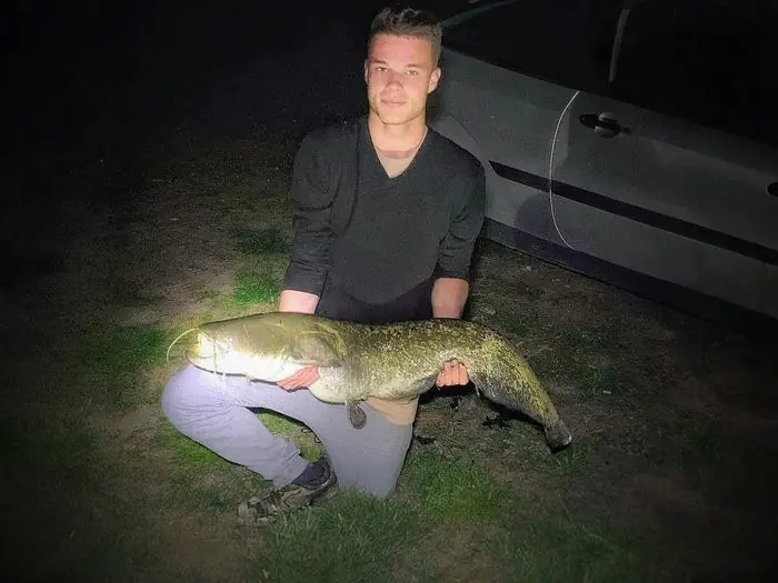Silure glane de 110 cm à Chisseaux, le 21/04/2019 à 02:05