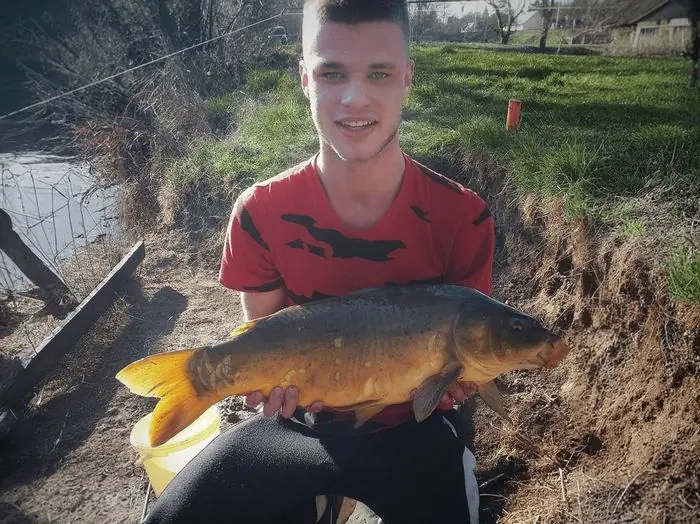 Carpe commune de 5 kg à Chisseaux, le 30/04/2019 à 19:00