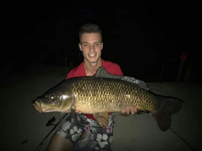 Carpe commune de 11 kg à Chissay-en-Touraine, le 15/05/2019 à 01:05