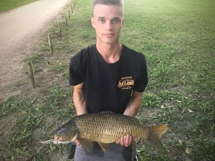 Carpe commune de 5 kg à Chissay-en-Touraine, le 22/05/2019 à 19:00