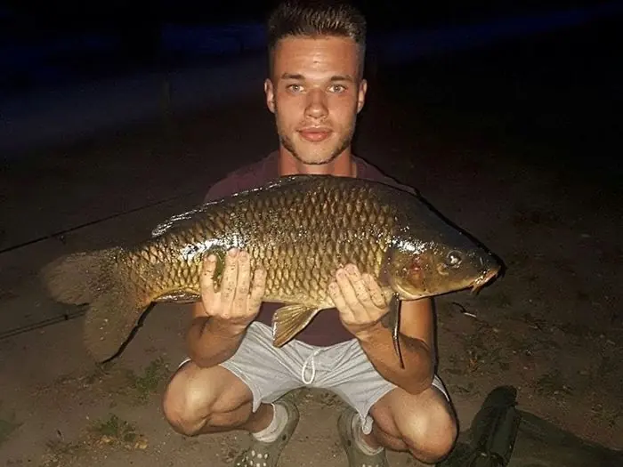 Carpe commune de 6 kg à Chissay-en-Touraine, le 12/07/2019 à 22:00