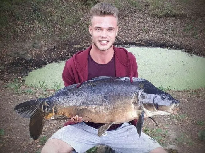 Carpe miroir de 15 kg à Chissay-en-Touraine, le 09/08/2019 à 18:15 — mon record