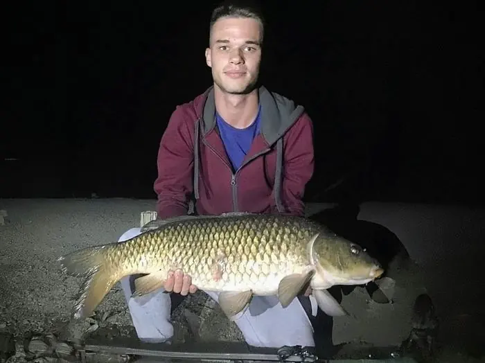 Carpe commune de 7 kg à Chissay-en-Touraine, le 13/08/2019 à 21:45