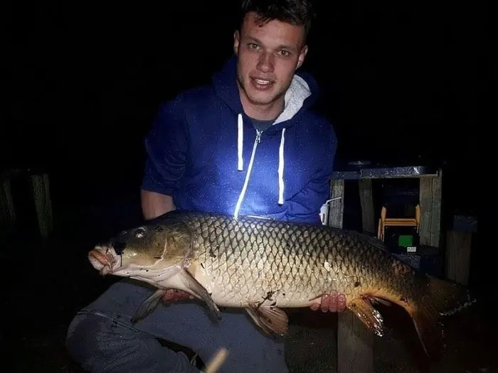 Carpe commune de 10 kg à Chissay-en-Touraine, le 28/08/2019 à 22:00