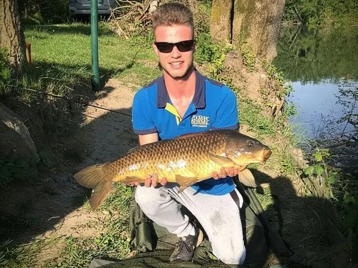 Carpe commune de 6 kg à Chisseaux, le 04/09/2019 à 20:00