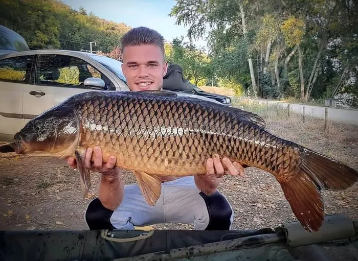 Carpe commune de 11 kg à Chissay-en-Touraine, le 16/09/2019 à 19:00