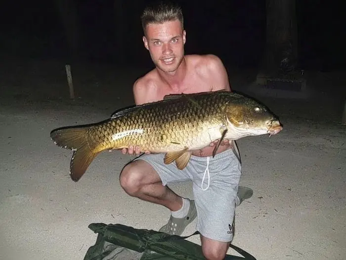 Carpe commune de 10 kg à Chissay-en-Touraine, le 12/07/2020 à 22:30