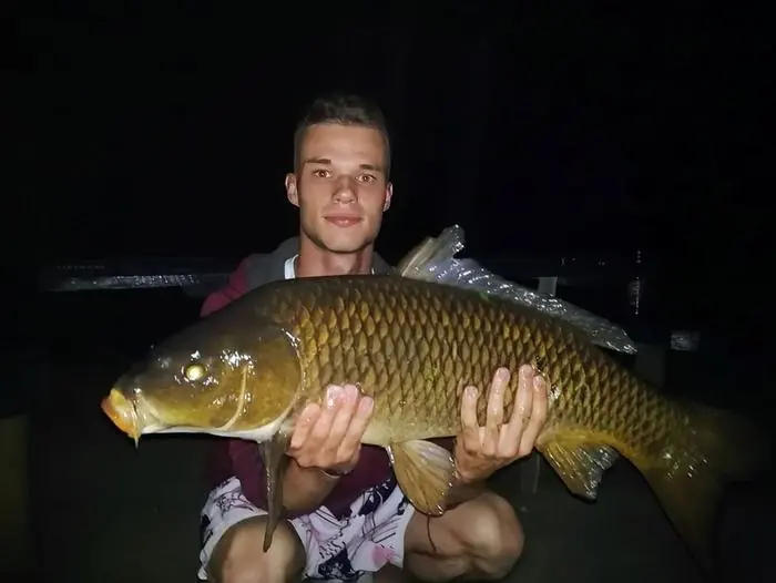 Carpe commune de 8 kg à Chissay-en-Touraine, le 16/07/2020 à 22:00