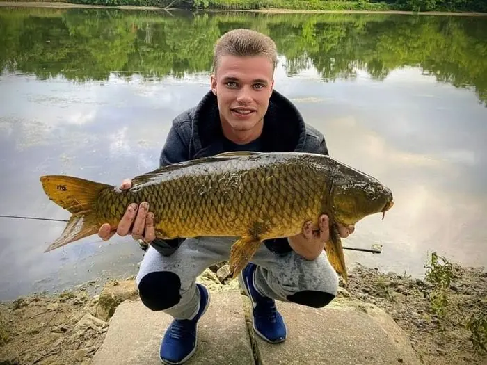 Carpe commune de 6 kg à Chissay-en-Touraine, le 27/07/2020 à 21:20