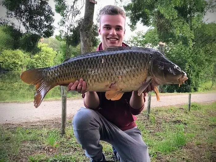 Carpe commune de 8 kg à Chissay-en-Touraine, le 07/08/2020 à 21:00