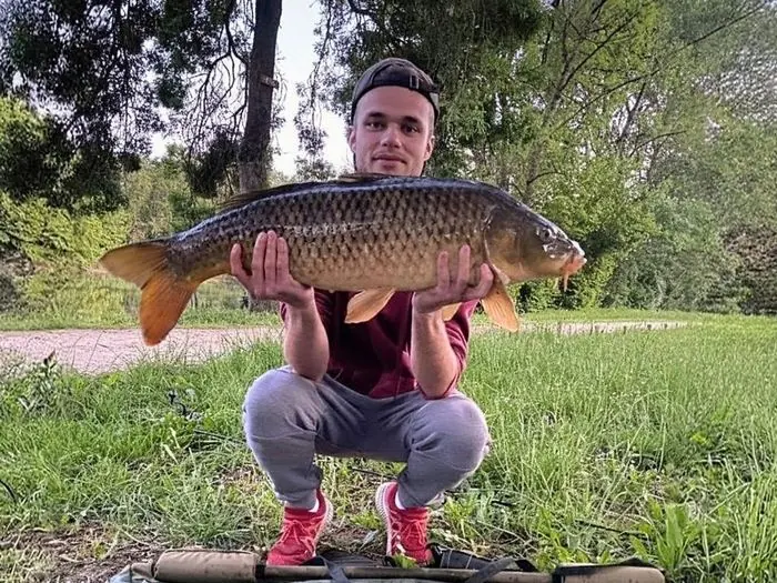 Carpe commune de 8 kg à Chissay-en-Touraine, le 07/08/2020 à 21:30