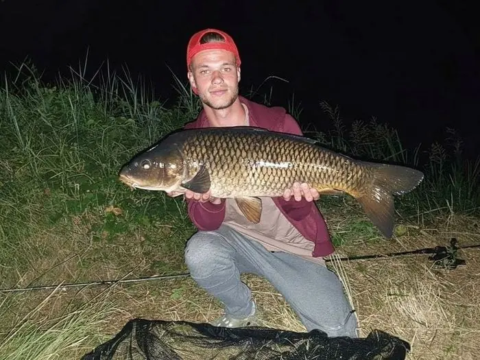 Carpe commune de 11 kg à Chisseaux, le 08/08/2020 à 00:15