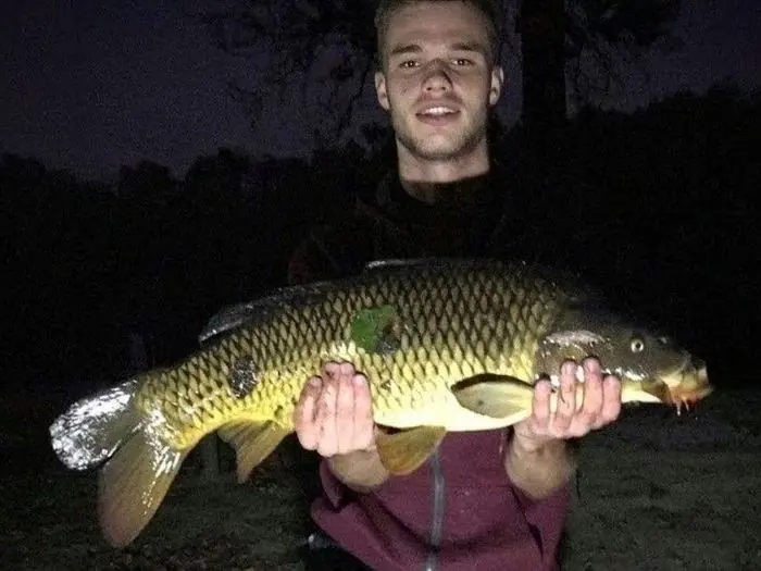 Carpe commune de 8 kg à Chissay-en-Touraine, le 02/07/2022 à 03:00