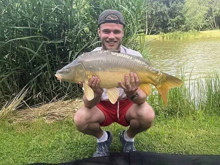 Carpe miroir de 8 kg à Épeigné-les-Bois, le 22/06/2025 à 16:45