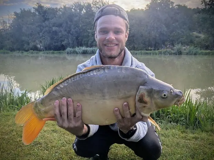 Carpe miroir de 6 kg à Épeigné-les-Bois, le 06/08/2026 à 07:45