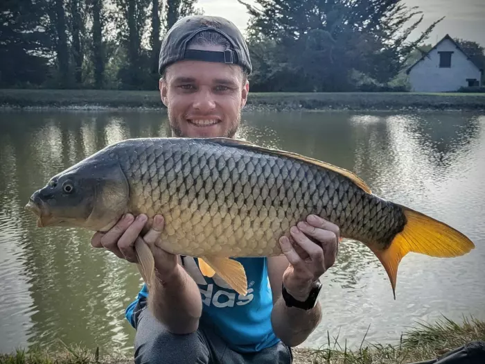 Carpe commune de 6 kg à Noyers-sur-Cher