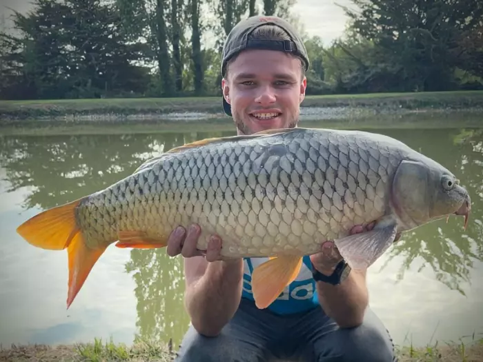 Carpe commune de 8 kg à Noyers-sur-Cher